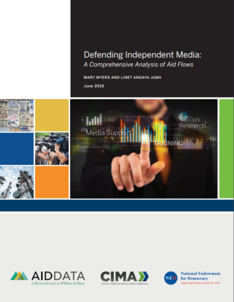 Defending Independent Media: A Comprehensive Analysis of Aid Flows